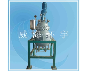 100L Cladding Plate Reactor SS304+Q345R Reactor