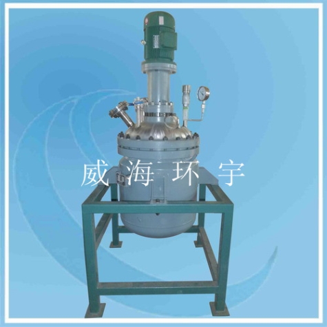 100L Stainless Steel Reactor