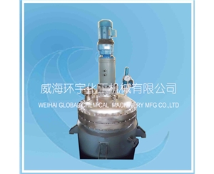 500L Resin Reactor